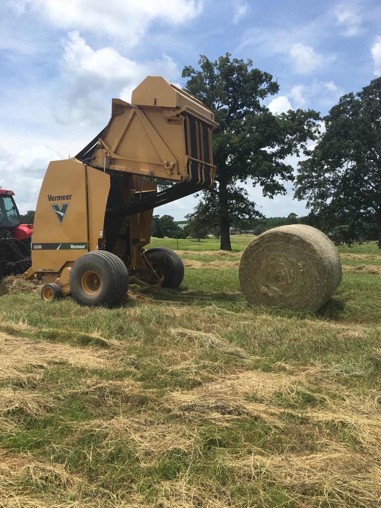 Nutrition & Hay