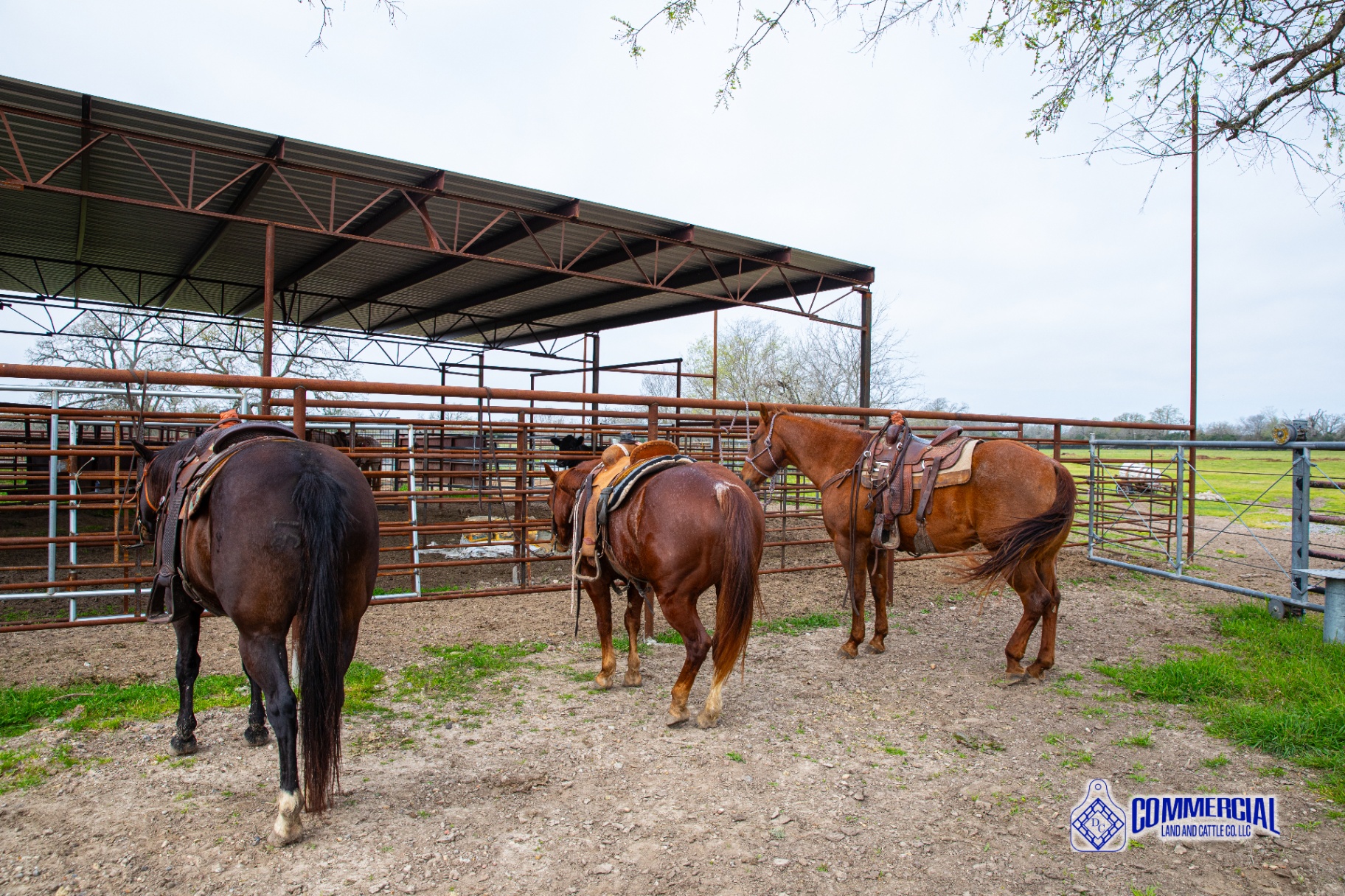Ranching Support